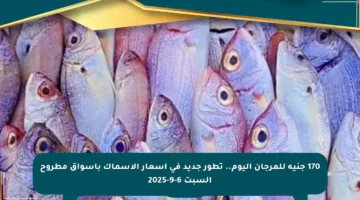 170 جنيه للمرجان اليوم.. تطور جديد في أسعار الأسماك بأسواق مطروح السبت 6-9-2025